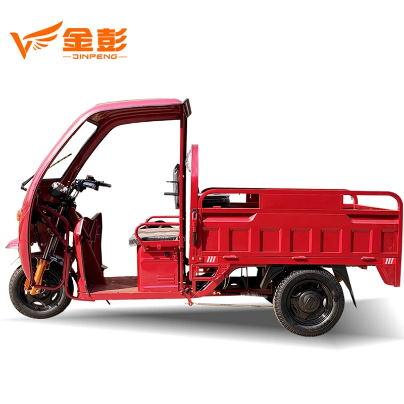 2020 Best Quality Control Three Wheels Electric Vehicle