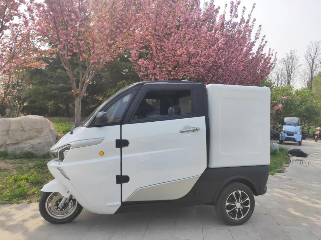 Food Delivery Mini Electric Tricycle Vans