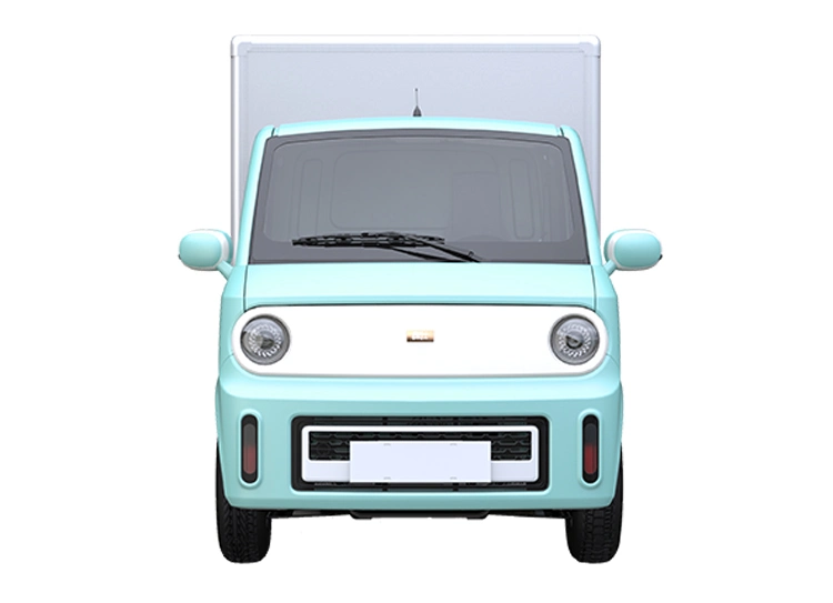 Chengshi X2 Single Reduction High Quality Cheap Price Light Duty Cargo Mini Electric City Delivery Van