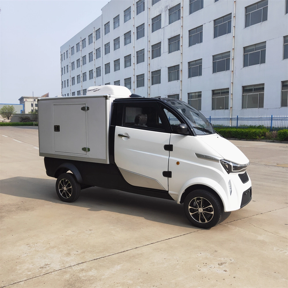 China Pizza Food Delivery Mini Electric Van for Export