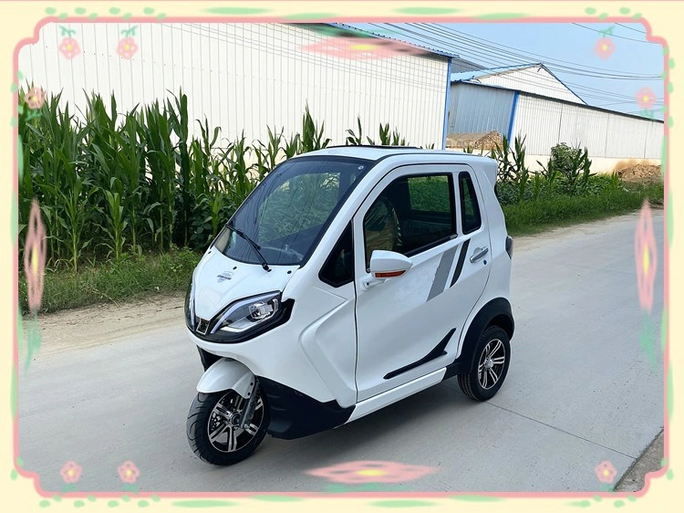 Three Wheel Electric Vehicle Used for Carrying People and Cargo