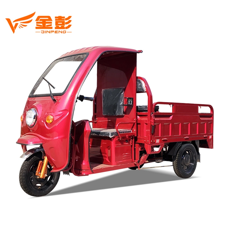 2020 Best Quality Control Three Wheels Electric Vehicle
