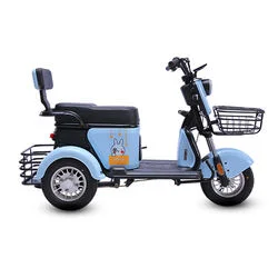 Wholesale/Supplier Electric 3 Wheel Bicycle E Bike for Adult Home Use Cycle 600W Vehicle Mini E Scooters