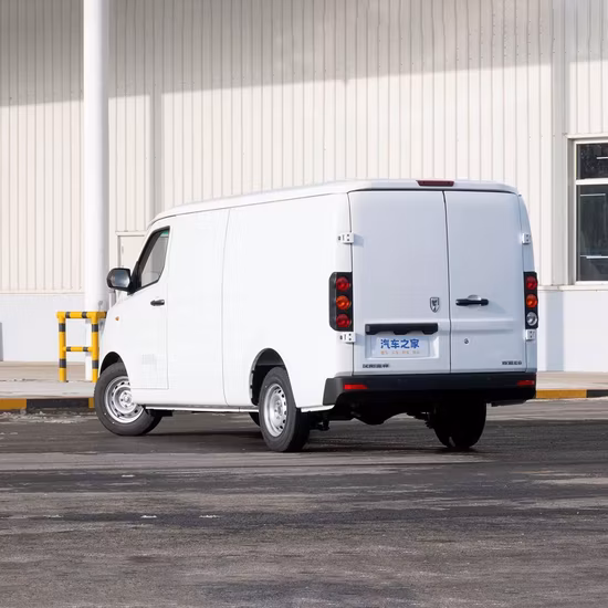 China Pizza Food Delivery Mini Electric Van for Export
