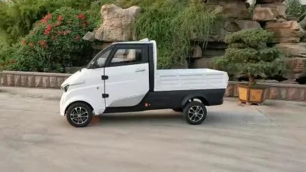 Mini Car Electric Adult Electric Cargo Truck Low Speed Electric Delivery Van