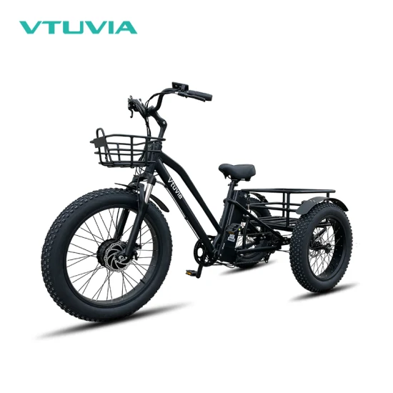 China Electric Scooter Exporter Brushless Geared Motor Mini Tricycle