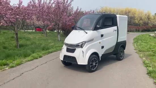 EEC Approval 4 Wheel Long Distance Electric Mini Car for Cargo Delivery