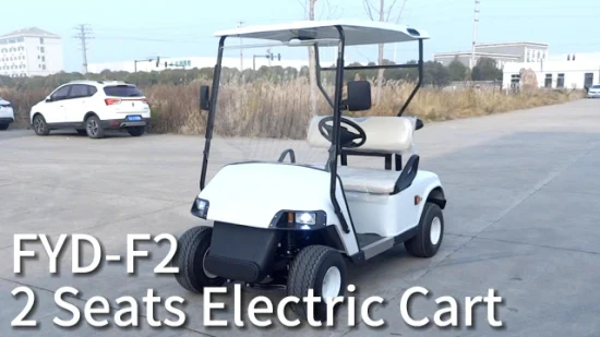 Manufacturer Free Custom Color Electric Sport Golf Buggy Cart Wholesale Battery Lsv 4 Wheel 2 Passenger Electric Small Car Mini Car with Single Luxury Seater