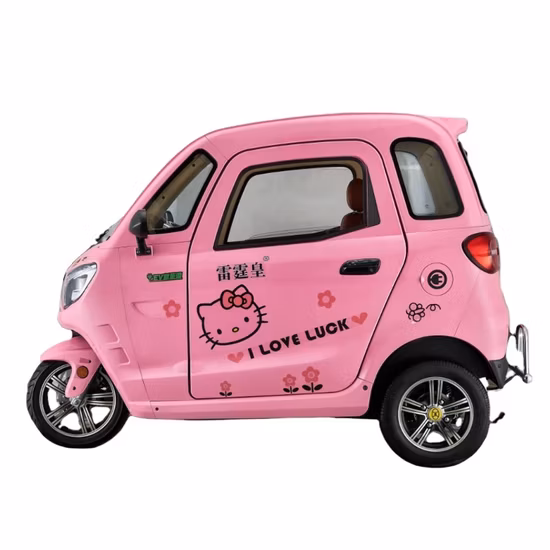 L2e Coc Certificate Approval 3 Wheel Mini Electric Car