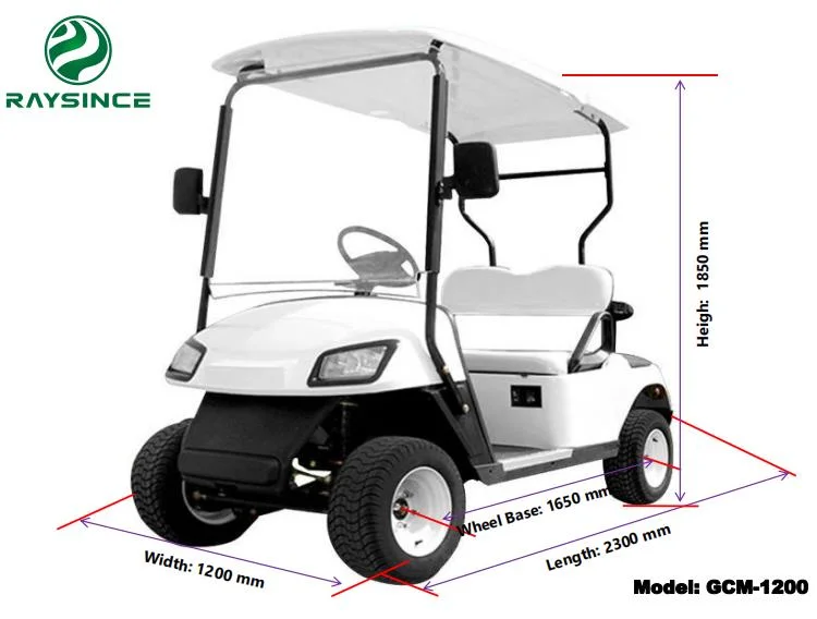 Ready to Ship 2 Seats Mini Electric Golf Cart with 48V Battery