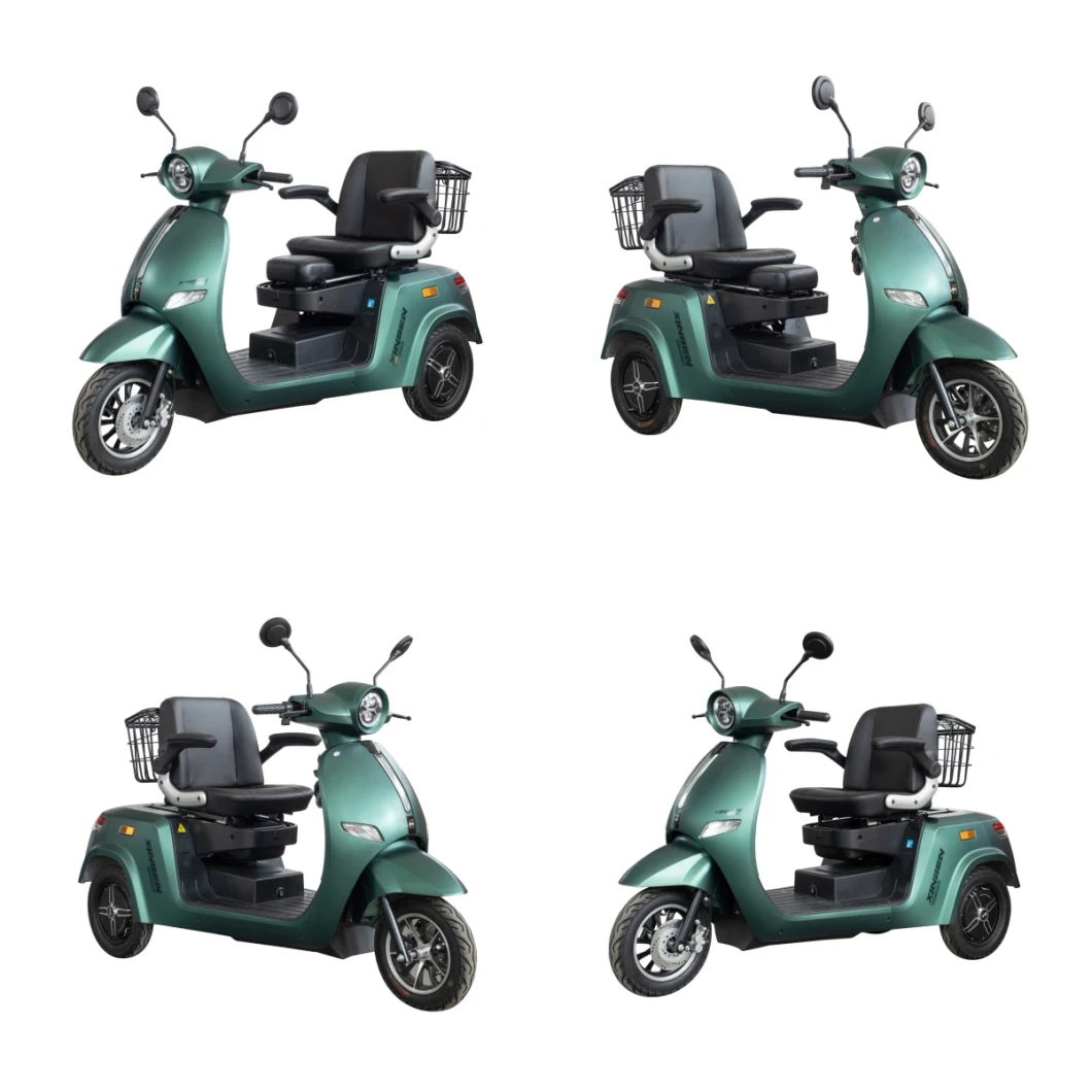 China Electric Tricycle, Three Wheel Motorcycle, Three Wheeler, Electric Motorbike, Disabled Vehicle