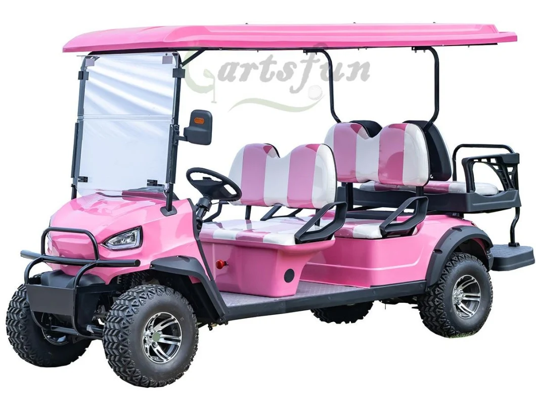 Lower Price 2 4 6 8 Passengers Golf Car Buggy Electric Golf Cart