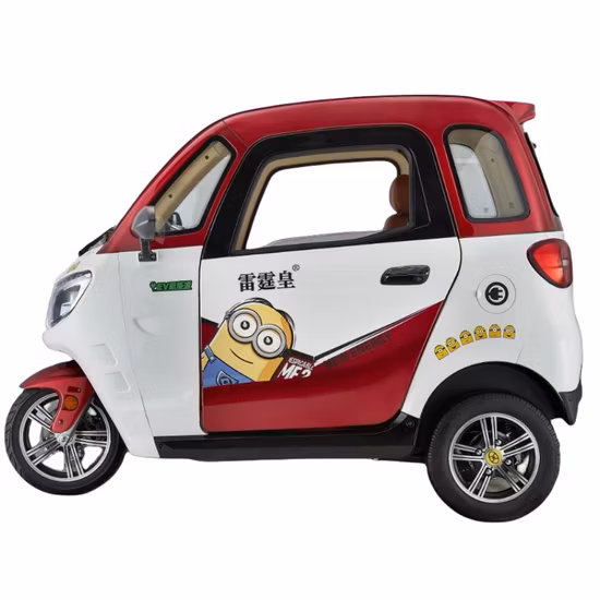 L2e Coc Certificate Approval 3 Wheel Mini Electric Car