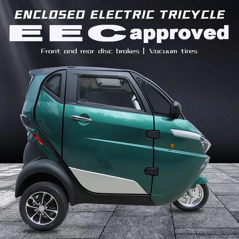 Electric 3000W Motor Mini 3 Wheel Van Cargo Scooter Trike EEC Coc Cargo Car for Delivery Packages Ad Show