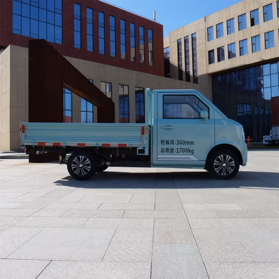 2020 Electric Cargo Van Car for Pacel/Goods Delivery