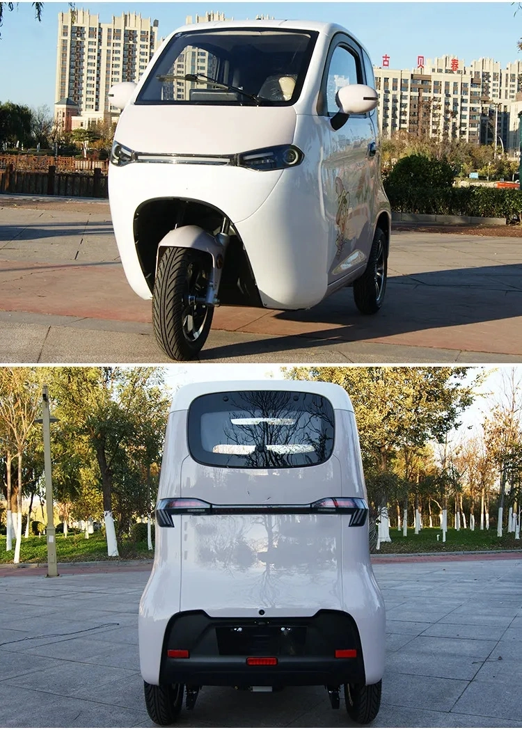 E-Vehicle Electric Vehicle Electric Tricycle Cargo Fully Enclosed Electric Tricycle with Motor Rated Power Electric Scooter