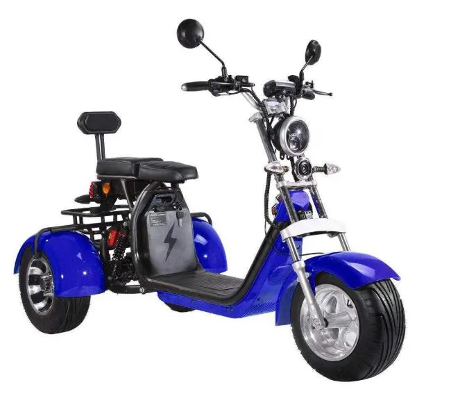 60V 20ah Battery 2000W Big Motor Three Wheel Electric Motorcycle Scooter Tricycles