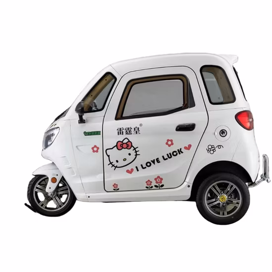 L2e Coc Certificate Approval 3 Wheel Mini Electric Car