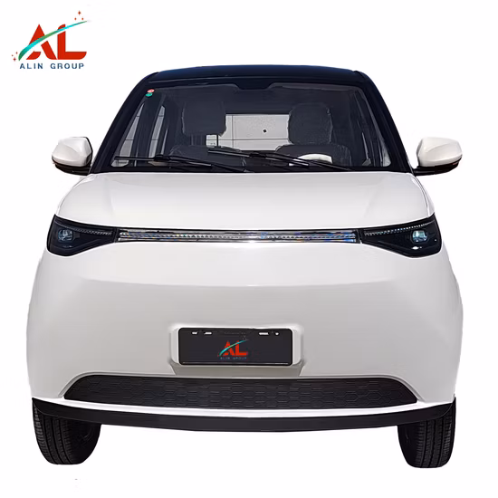 EV House Young Light Xiaoxin Best Value Mini Electric Car