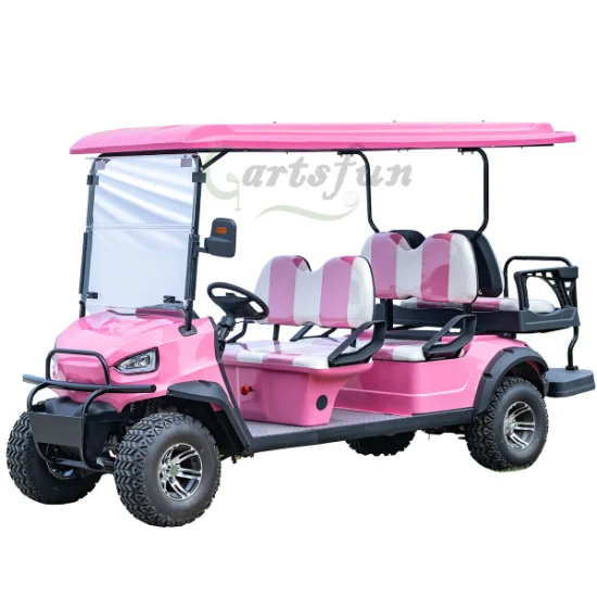 Lower Price 2 4 6 8 Passengers Golf Car Buggy Electric Golf Cart