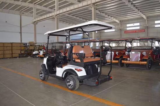 Lower Price 2 4 6 8 Passengers Golf Car Buggy Electric Golf Cart