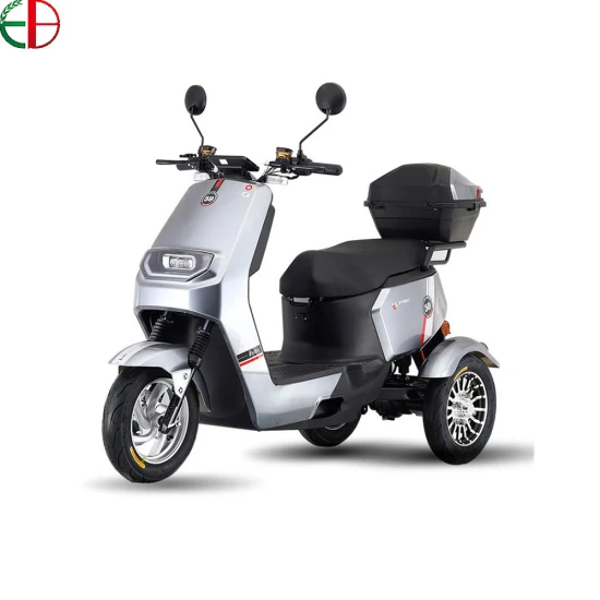 3 Wheels 650W Gear Motor Electric Scooter Tricycle with EEC Coc for Europe Market
