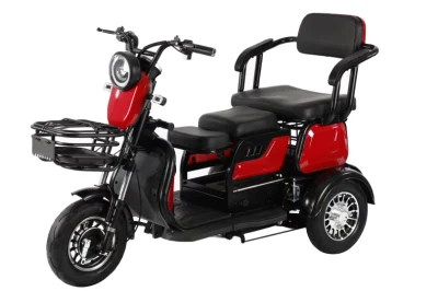 Adult Electric 3 Wheel Scooters Motorcycle 500W Electric Tricycle 3 Wheels Double Motor
