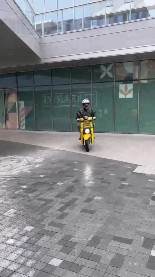 3000W Double Motors Three Wheels Electric Delivery Scooter Vehicle