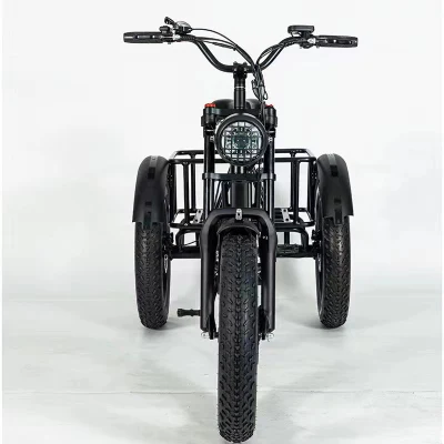 48V 500W Electric Tricycle Fat Tire 20