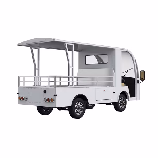 Freight Car Made in China Delivery Truck Electric Pickup Car