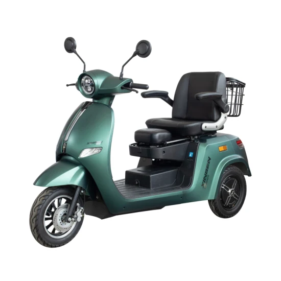 China Electric Tricycle, Three Wheel Motorcycle, Three Wheeler, Electric Motorbike, Disabled Vehicle