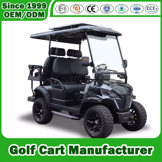 EEC L6e Approal Electric Vehicle Electric Mini Vehicle for Passenger