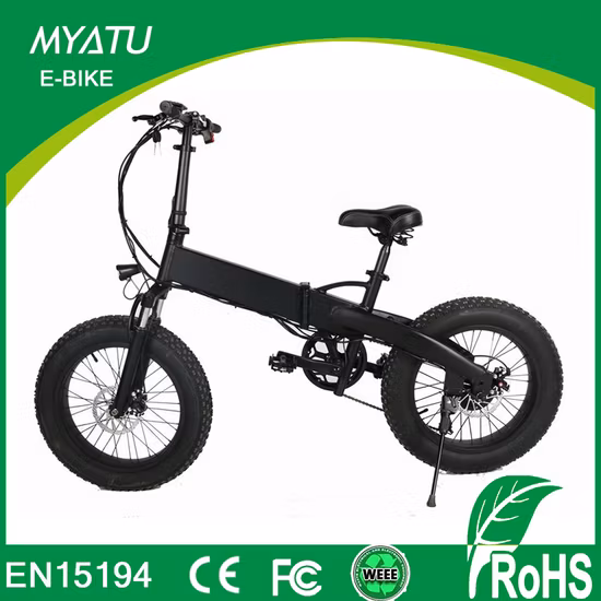 20inch Factory 250W Alloy Mini Folding Electric Vehicle Fat