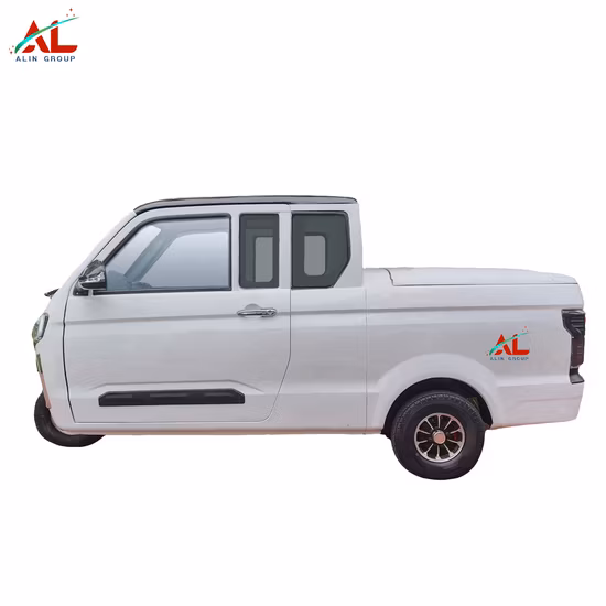 2020 New Arrival Micro Electric Express Cargo with 60V4000W Motor