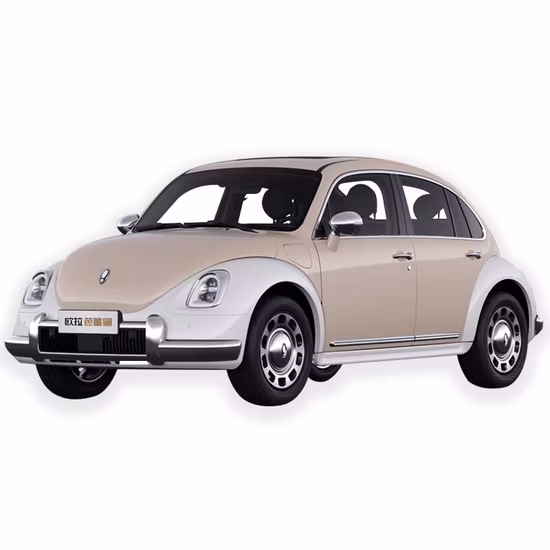 High Quality 4 Wheel 2 Seat Electric Car High Speed Electric Car Electric Mini Car for Adult