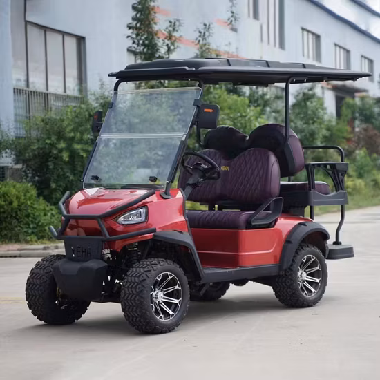 EEC Commercial Passenger Electric Car Mini Electric Car for Family