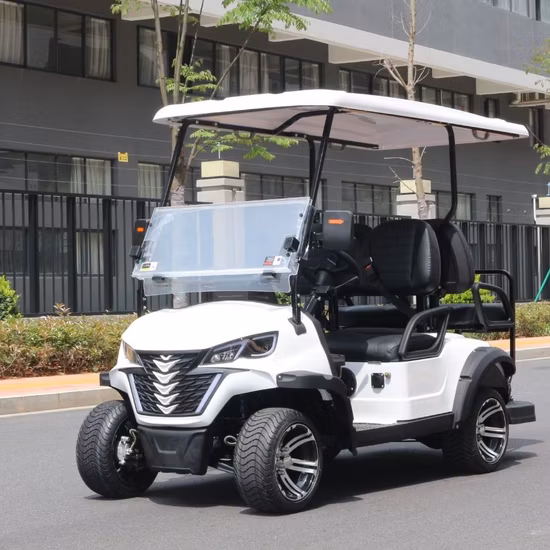 Manufacturer Free Custom Color Electric Sport Golf Buggy Cart Wholesale Battery Lsv 4 Wheel 2 Passenger Electric Small Car Mini Car with Single Luxury Seater