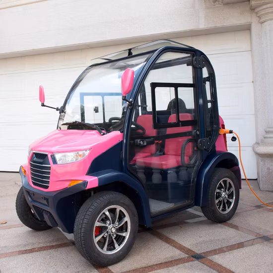 Electric Sightseeing Bus Golf Wholesale Battery Passenger Electric Small Car Mini Car 2 Seater Sightseeing Car