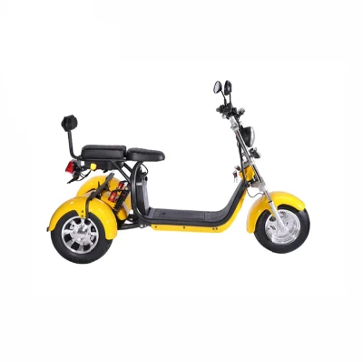 60V 20ah Battery 2000W Big Motor Three Wheel Electric Motorcycle Scooter Tricycles
