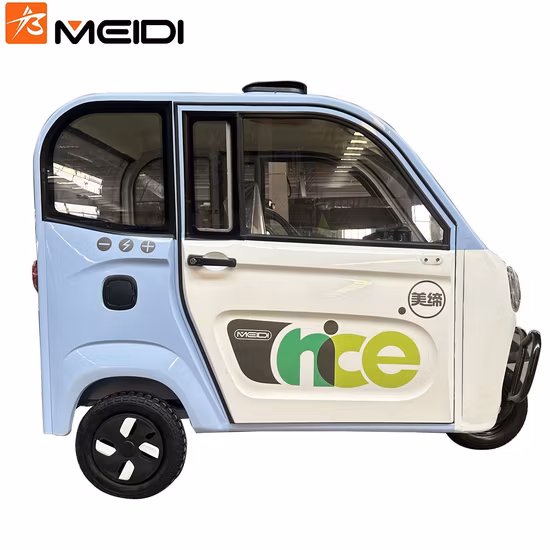 Adult Cheap Mobility Cars 3 Wheel Electric Scooter Car