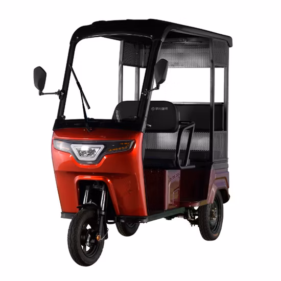 Chinese Wholesaler 600 Watt Electric Tricycle with Rain Roof 3 Wheels Motor Scooter with Cover for Sale