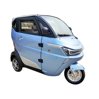 E-Vehicle Electric Vehicle Electric Tricycle Cargo Fully Enclosed Electric Tricycle with Motor Rated Power Electric Scooter