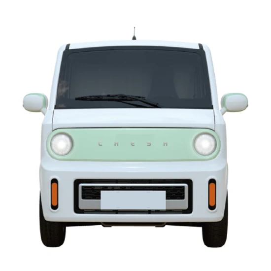 New Energy Adult One or Two Seat Pickup Electric Vehicle Van Mini Four-Wheel Electric Car for Delivery