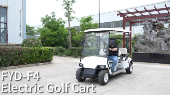 Wholesale 4 Seat 4 2 Person Seater Mini Tour Club Car Bus Sport Buggy Mobility Scooter Electric Vehicle Electric Golf Cart Price for Sale with Lithium Battery