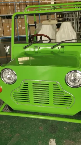 Battery Mini Moke Car Sightseeing Electric Vehicle